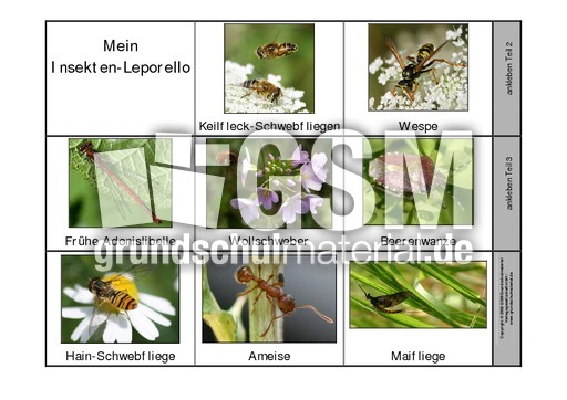 Leporello-Insekten-1-Seite-1.pdf